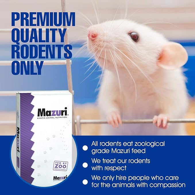 MiceDirect EST. 2003 50 Frozen Mice Small Fuzzie Feeders Snake Food for Juvenile Hognose Corn Milk (.5-1 in) (150 Grams Min)
