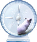 Silent Hamster Wheel, Super-Silent Hamster Exercise Wheels Accessories, Quiet Running Wheels, Adjustable Stand for Hamsters Mice Or Other Small Animals (Ф 7 inch,Transparent)