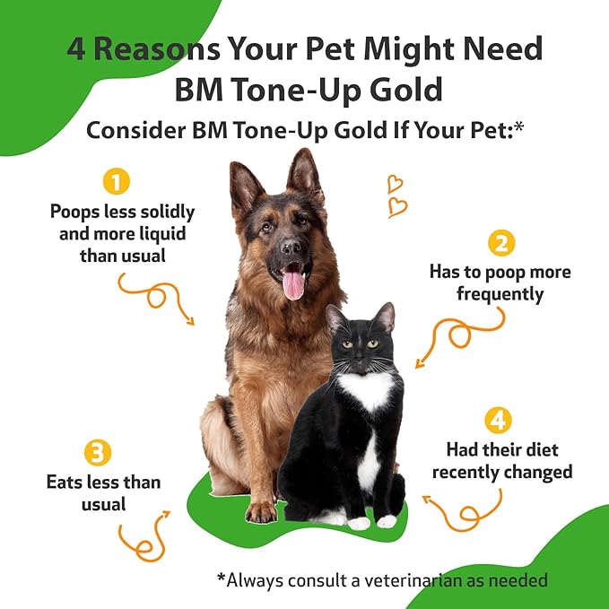 Pet Wellbeing BM Tone-Up Gold for Dogs & Cats - Supports Healthy Digestive Function, Solid Stools, Normal Bowel Movements, Bayberry - Veterinarian-Formulated Herbal Supplement 4 oz (118 ml)