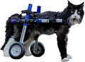 Walkin' Wheels Lightweight – for Small Cats 2 to 20 Pounds – Veterinarian Approved – Cat Wheelchair for Back Legs, for Cats 11-20 lbs, 9-13 inches Leg Height – Blue