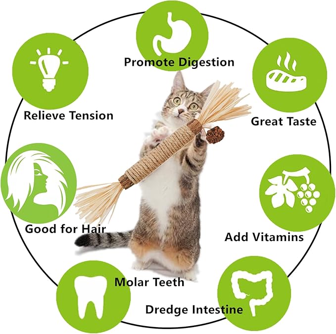 Cat Toys 10Pack Silvervine Chew Stick Kitten Treat Catnip Toy Kitty Natural Stuff Catnip for Cleaning Teeth Indoor Dental Snack Interactive