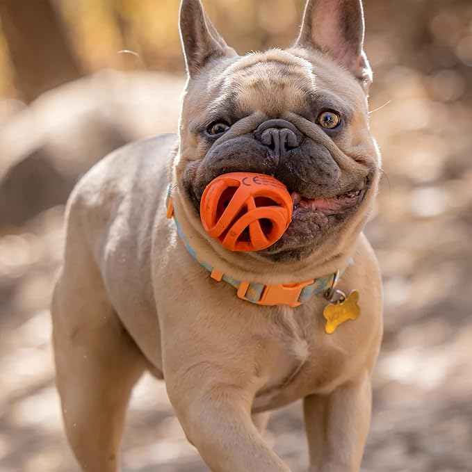 Chuckit! Air Fetch Ball Dog Toy, Medium (2.5 Inch Diameter), for dogs 20-60 lbs