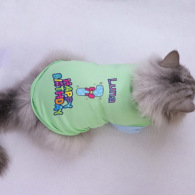 Custom Dog Birthday Shirt,Personalized Pet Apparel Print with Name Age Number,Pet Birthday Outfit,Lightweight Breathable Cotton Vest for Small Medium Large Dogs Cat (Dopamine Blue, XX-Large)