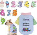 Custom Dog Birthday Shirt,Personalized Pet Apparel Print with Name Age Number,Pet Birthday Outfit,Lightweight Breathable Cotton Vest for Small Medium Large Dogs Cat (Dopamine Blue, X-Large)