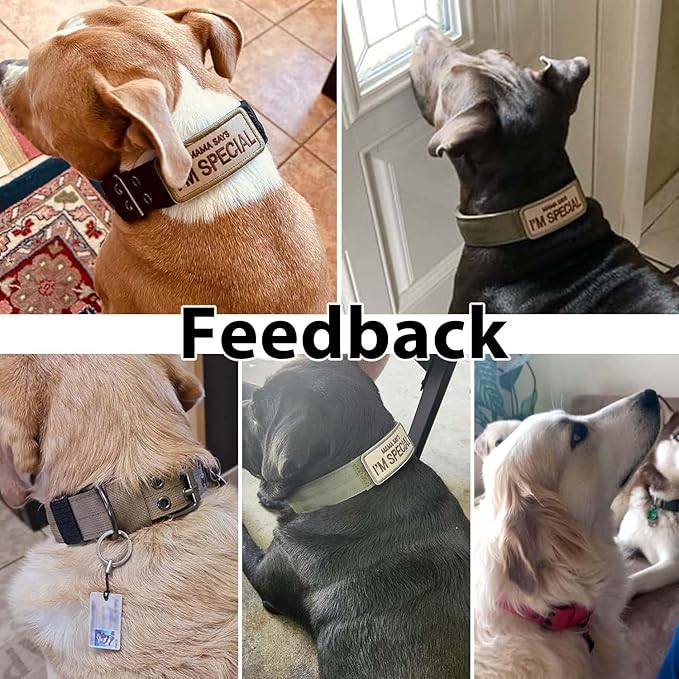 Tactical Dog Collar Military Adjustable Dog Collars Soft Nylon Training Collar with Patch Heavy Duty Metal Buckle Collars for Medium Large Dogs (Black, M)