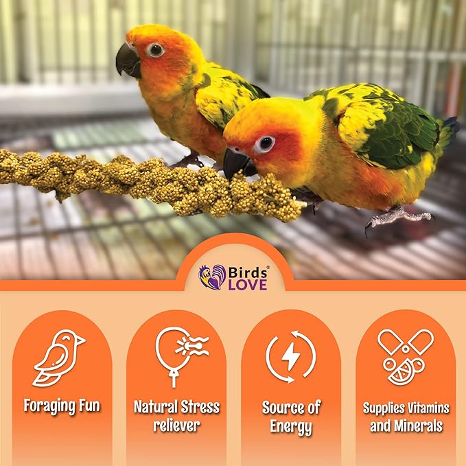 Birds LOVE Spray Millet – 1 lb GMO-Free, No Stems (Edible Tops Only) – Healthy Treat for Cockatiels, Lovebirds, Parakeets, Finches & Canaries