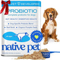 Native Pet Probiotics for Dogs - Dog Probiotics Powder for Digestive Health, Gut Support, & Immune Boost – Vet-Formulated Powder for Maximum Potency with Digestive Enzymes & Prebiotics - 120 Scoops