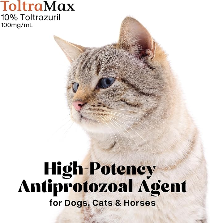 Toltrazuril 10.0% for Horses, Dogs, Cats, 240mL/8 Ounce, for Non-Food Chain Animals, Peanut Butter