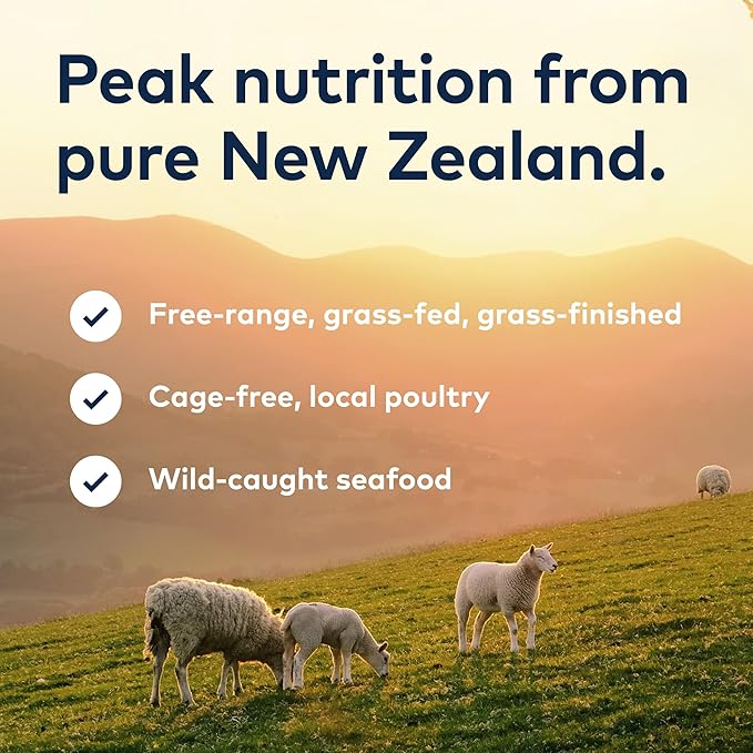 ZIWI Peak Air-Dried Cat Food – Mackerel & Lamb - All Natural, High Protein, Grain Free, Limited Ingredient w/ Superfoods (14oz)