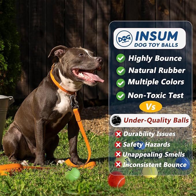 Squeaky Tennis Balls for Dogs - 12 Pack 2.5'' Durable Non-Toxic Outdoor Dog Toys Balls with Mesh Bag, SGS Certified, Colorful Fetch Toys, Medium Large Breeds