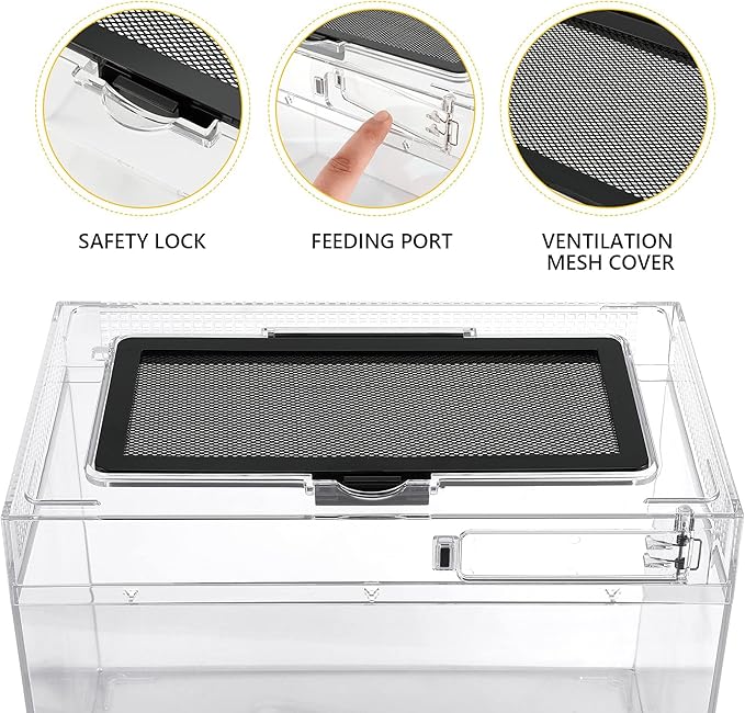 Reptile PC Terrarium Amphibian Tank Spider Enclosure Snake Cage 7x11.8x5.9inch Suitable for breeding Leopard Gecko,Frog,Hermit Crab,Lizards,Isopod,Tarantula,Turtles,Chameleons,Jumping Spiders