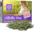 Small Pet Select Alfalfa Hay Pet Food for Young Rabbits, Guinea Pigs, Chinchillas, Tortoises and Other Small Animals, Easy to Store Box, 10 LB