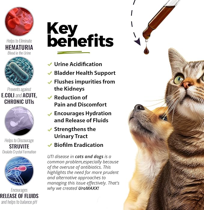 Cat & Dog Urinary Tract Treatment, Bladder & Kidney Support for Dogs and Cats, Powerful Yet Gentle Pet Care, with Liquid Cranberry & Glucosamine, Chicken Flavor, 6 oz Bottle, 1 Pack
