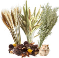 Natural Ear of Grain Flower&Herb Bedding Mate Habitat Decor, Adding Fun Hamster Accessories for Hamsters Gerbils Lemming