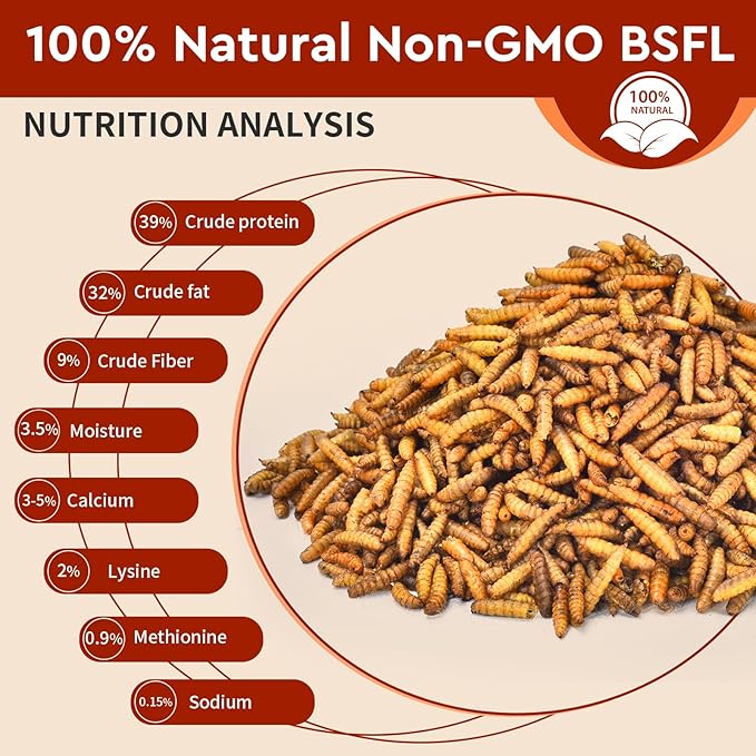 Dried Black Soldier Fly Larvae 5LB, High Protein Chicken Feed, 100% Natural Non-GMO – Treat for Chicken More Calcium Than Mealworms, Food for Laying Hen, Ducks, Wild Birds