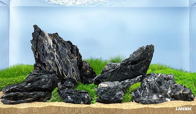 LANDEN Dark SEIRYU Stones Natural Rocks(17lbs, 3~11 inches,7-8pcs) for Aquarium, Paludarium, Terrariums, Landscaping Rocks, Decorative Aquarium Rocks