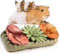TEEWY Guinea Pig Chew Toys, Prevent Teeth Overgrowth, Natural Timothy Grass & Vegetables, Hamster Chew Toys, Guinea Pig Toys, Chinchilla Toys, 4PCS, Grass Patch & Flowers
