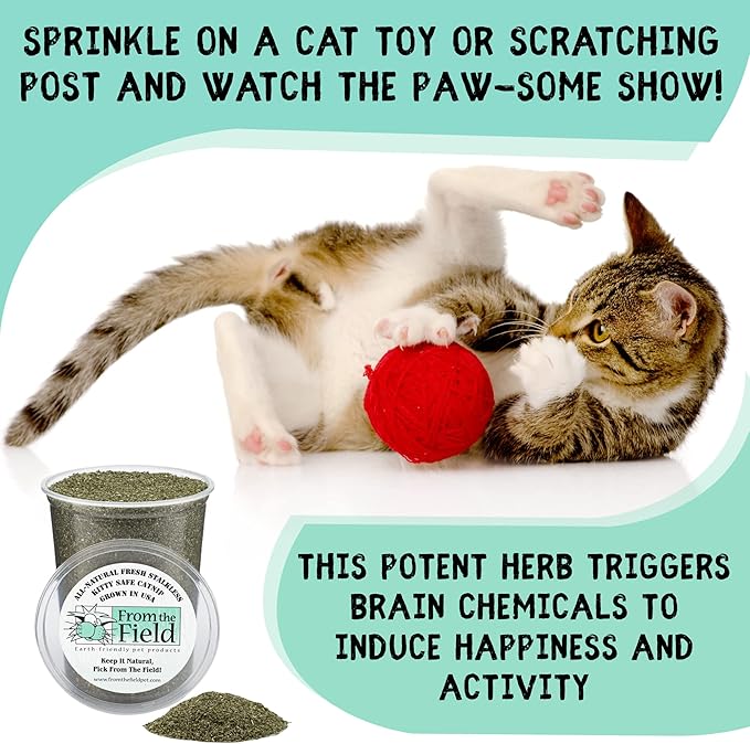 from The Field | Fine Ground Stalkless Catnip | Premium USA-Grown Catnip for Toys & Playtime | Fresh, Potent, Non-Toxic, Eco-Friendly | Safe for Kittens & Cats | Resealable 10 Oz Bag