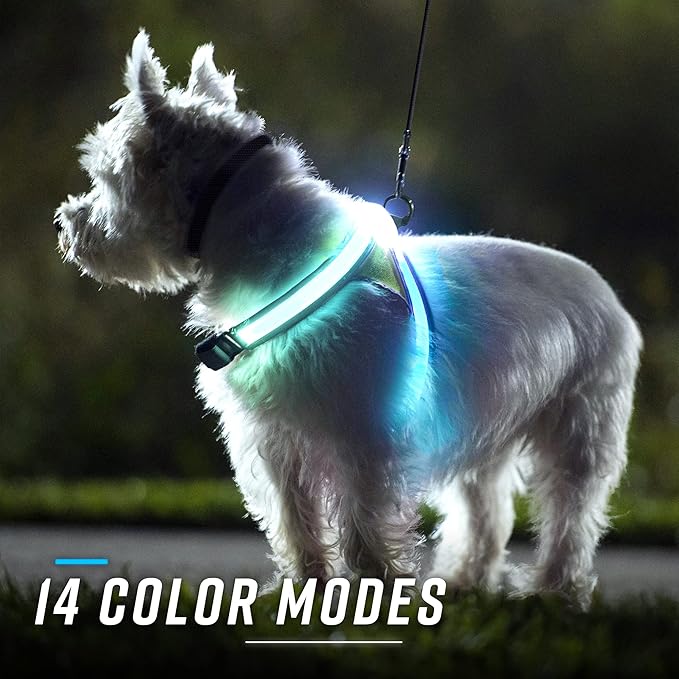 Noxgear LightHound – Revolutionary Illuminated and Reflective Harness for Dogs Including Multicolored LED Fiber Optics (USB Rechargeable, Adjustable, Lightweight, Rainproof) (X-Large)