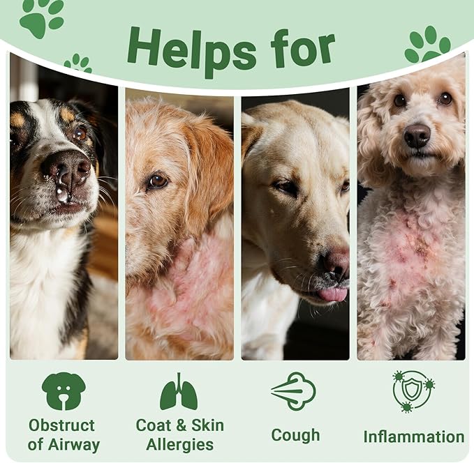 Kennel Cough Treatment Drop for Dogs &Cats,Help Wet and Dry Cough Relief,Seasonal Throat Discomfort, Natural Herbal Cough Liquid with Licorice,Ginger for All Breeds & Sizes,2 fl oz Bacon Flavor