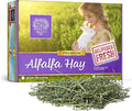 Small Pet Select Alfalfa Hay Pet Food for Young Rabbits, Guinea Pigs, Chinchillas, Tortoises and Other Small Animals, Easy to Store Box, 5 LB