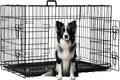 FDW Dog Crate 42-Inch Dog Cage Foldable Metal Kennel with Leakproof Tray Foldable Design Indoor Outdoor Use for Large Dogs,Dark Black