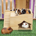 Guinea Pig Wood House, 11.8 x 9.4 x 6.7 Inch Hamster Hideout Castle with Stairs and Window, Small Animals Bed Hut Habitats, Ideal for Chinchillas Dwarf Mice Gerbils Playing Hiding
