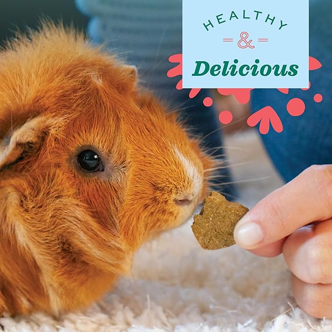 Oxbow Simple Rewards Baked Carrot & Dill Treats, Rabbit & Guinea Pig Treats Made with Timothy Hay, Healthy Guinea Pig, Hamster & Bunny Snack, Timothy for Rabbit, Made in USA, 3 oz Bag