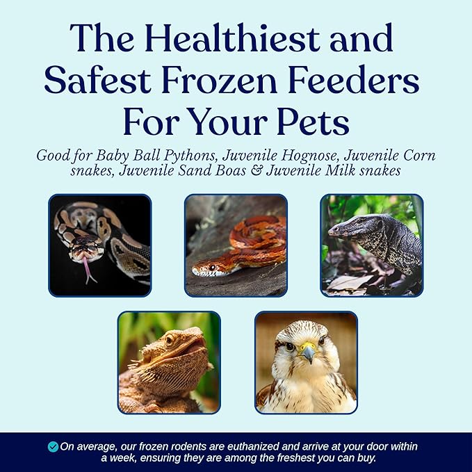 MiceDirect 125 Frozen Rat Fuzzies Feeders Snake Food for Adult Corn Snakes Ball Pythons (2-2.5 in)(Pack of 125)(1125 Grams Min)