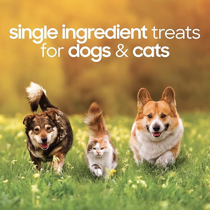 smallbatch Pets Premium Freeze-Dried Chicken Heart Treats for Dogs and Cats, 3.5 oz, Made and Sourced in The USA, Single Ingredient, Humanely Raise Meat, No Preservatives or Anything Artificial Ever