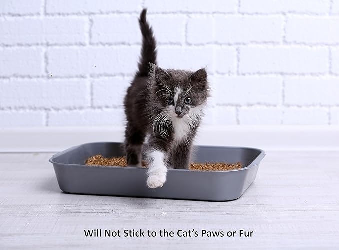 Cat Litter Deodorizer – 2.2 Lb Activated Charcoal Carbon – Odor Eliminator for Litter Box, Chicken Coop, Small Animal Enclosures – Extends Litter Life – Natural Pet Odor Control Granules