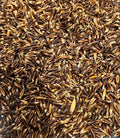 Bunny Honey Premium Organic Oat Seeds for Nutritious Feed and Vibrant Oat Growth - 20lb