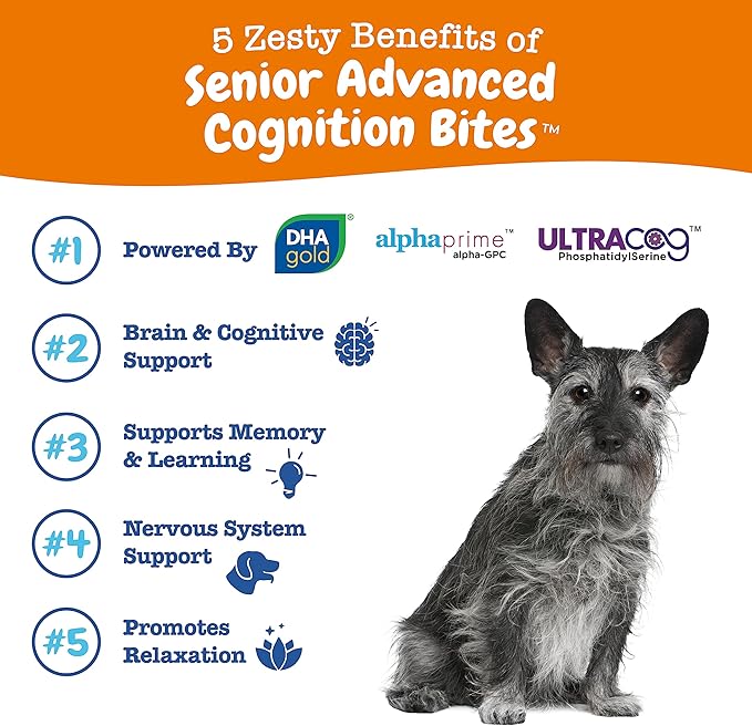 Zesty Paws Advanced Cognition Soft Chews for Dogs - with Omega 3 DHA, Ashwagandha & Alpha GPC - for Senior Dog Brain Health & Nervous System Support - Supplement for Calming & Relaxation - 90 Count