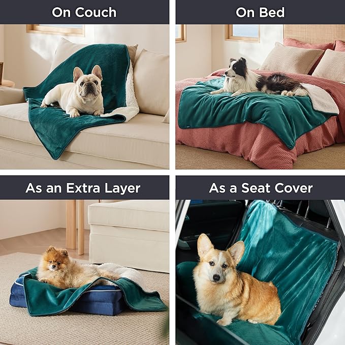 Bedsure Waterproof Blanket for Bed - Sherpa Fleece Waterproof Dog Blankets for Large Dogs, Pet Blankets for Bed/Couch/Dog Crate, Soft Plush Reversible Furniture Protector, King Size, 108"x86", Green