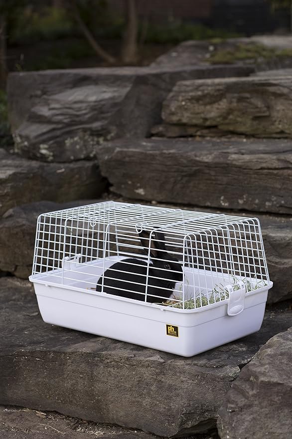 Prevue Pet Products Carina Animal Tubby, Small, White (SP526W)